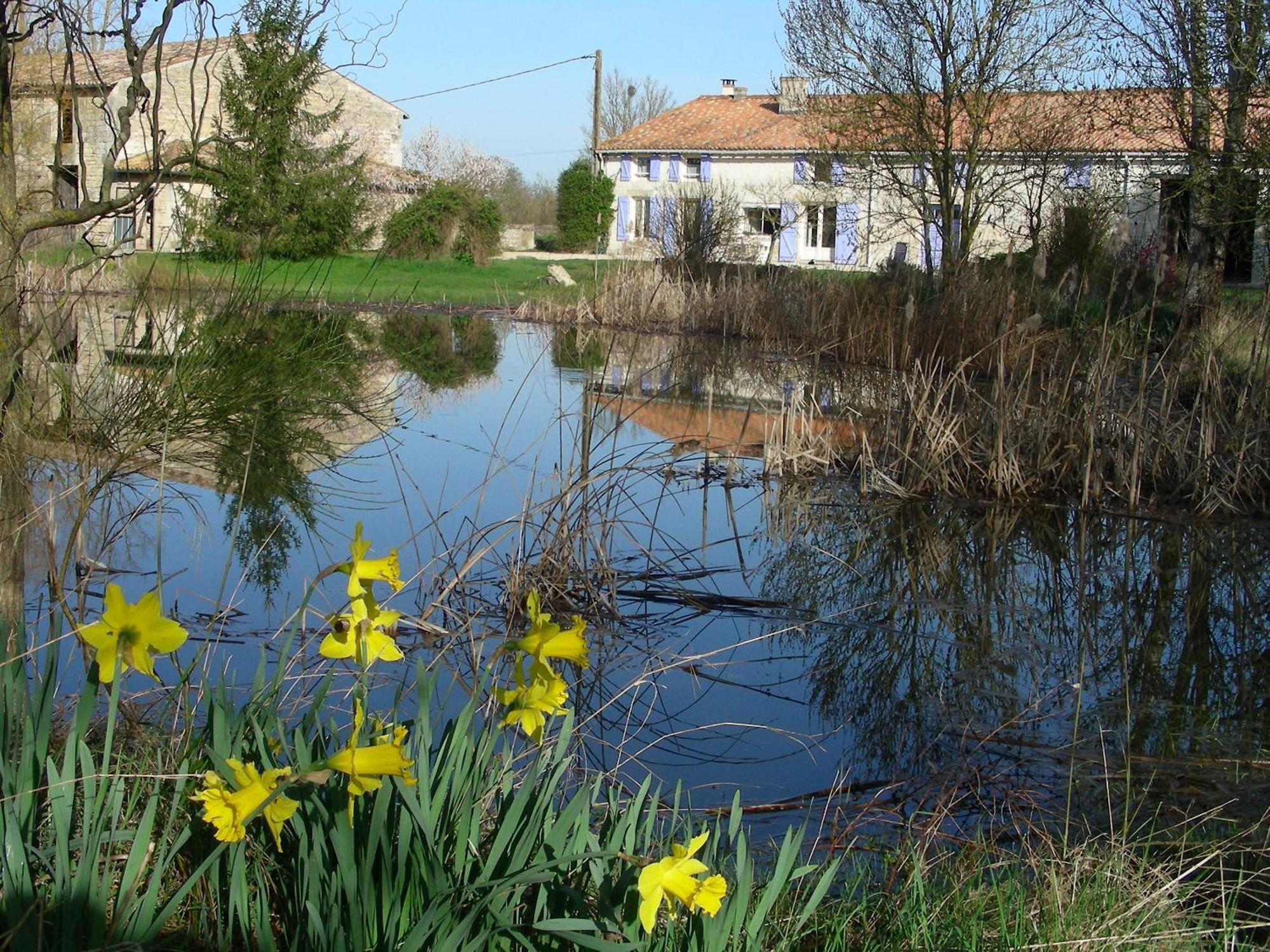 Chambres D'Hotes Entre Niort Et Marais Poitevin Bessines Εξωτερικό φωτογραφία